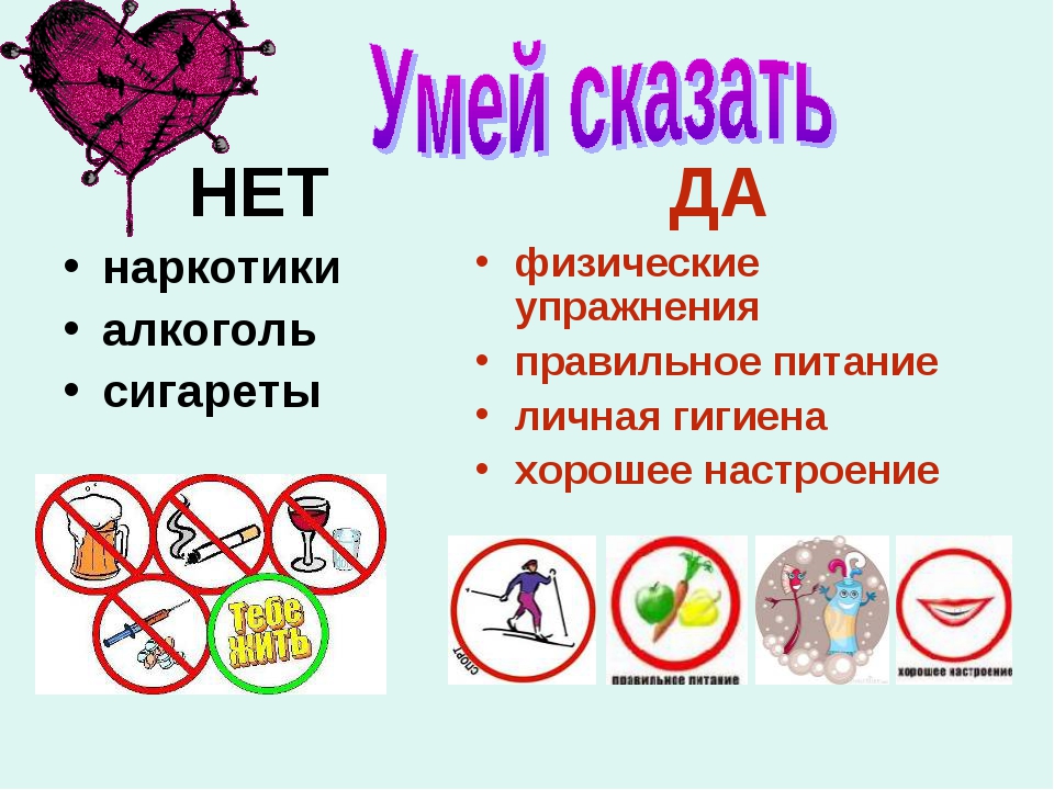 Зож мой выбор презентация