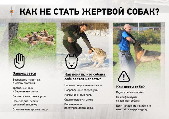 foto 2025 05 12 14 17 001