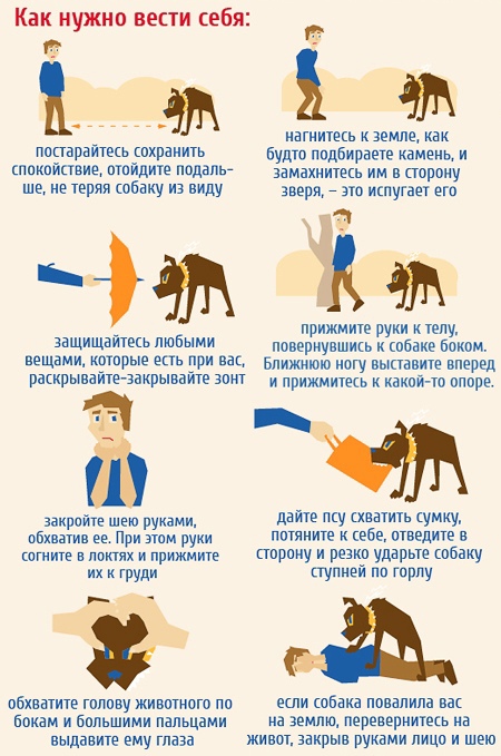 foto 2025 05 12 14 17 002