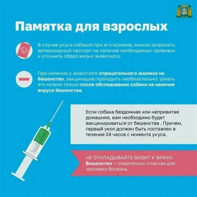 Foto 2025 07 02 14 50 002