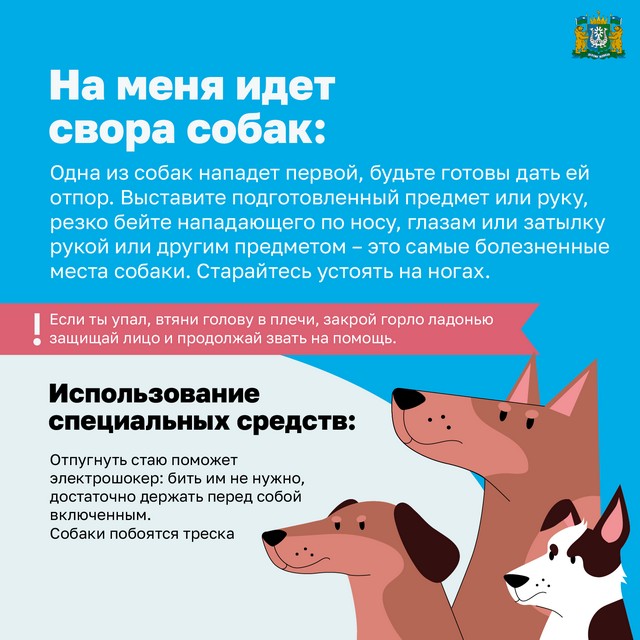 Foto 2025 07 02 14 50 004