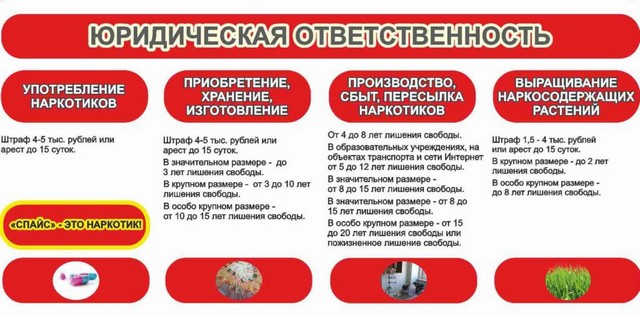Foto 2025 07 02 15 10 004