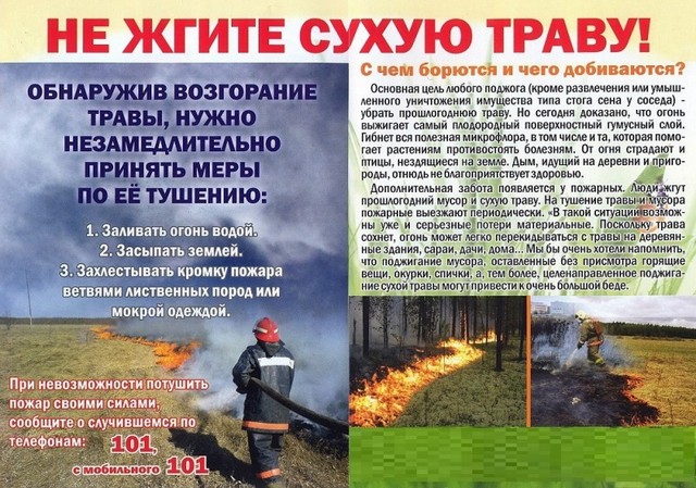 foto 2025 08 01 11 00 001
