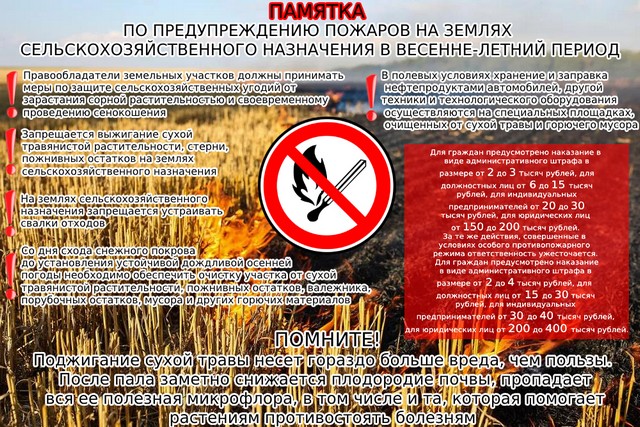 foto 2025 08 01 11 00 002