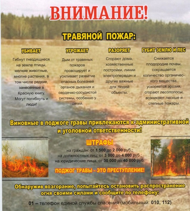 foto 2025 08 01 11 00 004