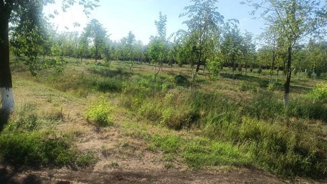 foto 2025 08 25 17 12 001