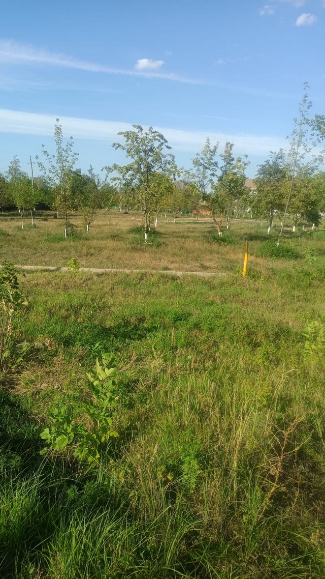 foto 2025 08 25 17 12 007