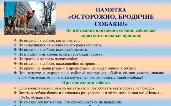 foto 2025 08 22 11 46 005